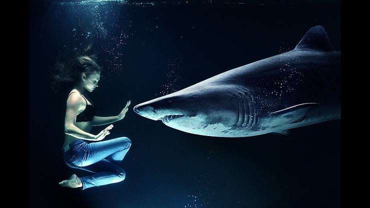 Interim liquidators woman stopping a shark from going nearer